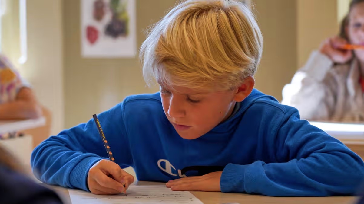 Workshop facilitation